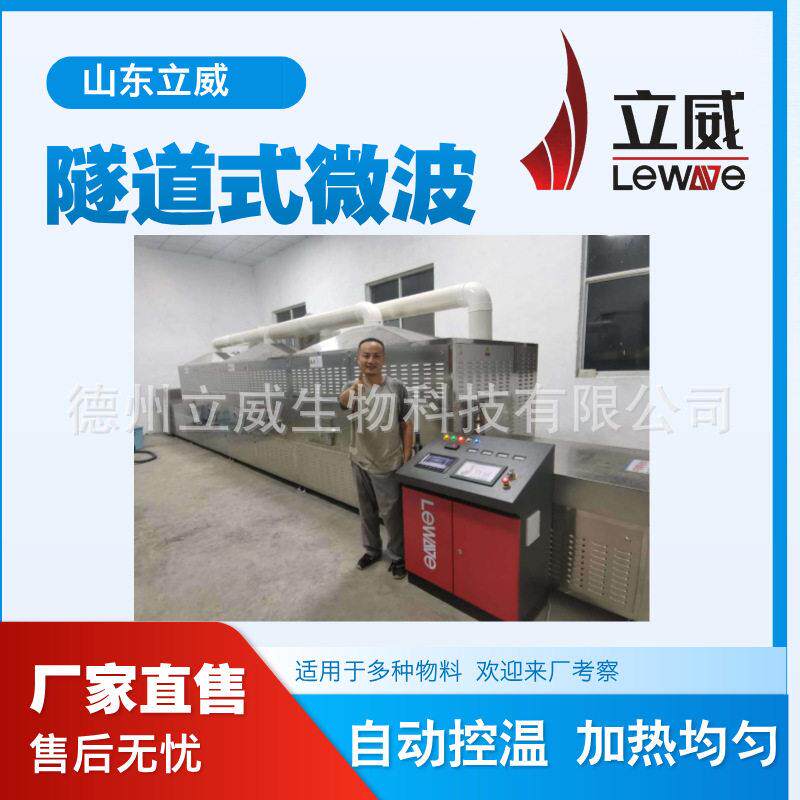 厂家现货水果片微波干燥杀菌机果蔬片微波烘干设备食品膨化机器