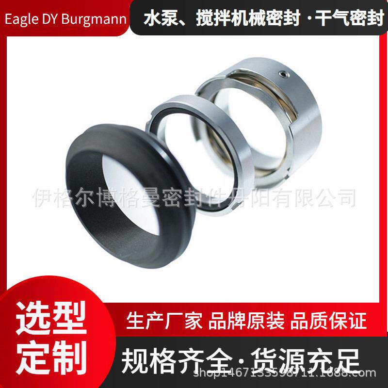 大连博格曼机械密封用于火电能源100DT-A35化学泵机封疏水泵机封