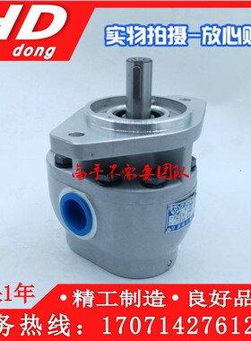 阜新液压高压齿轮油泵 CBF-E10P E16P E18P E25P E32P E40P X ALP