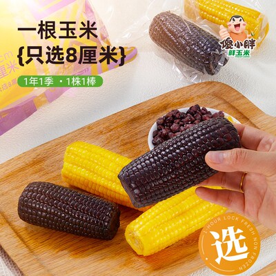 傻小胖1小时锁鲜黄糯玉米新鲜现摘粘紫玉米开袋非即食黏玉米棒