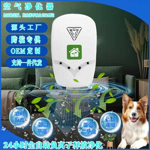 家用负离子空气净化器旅行便携小型负离子发生器宠物除异味净化器