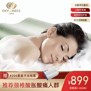 DOLOMIA记忆棉枕头单人护颈椎助睡眠枕芯夏季凉枕修复专用慢回弹