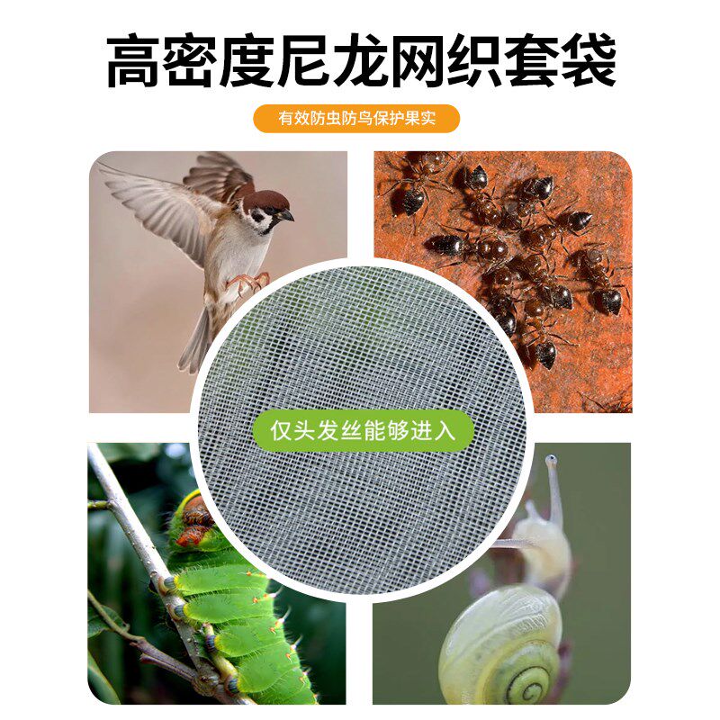 香瓜专用套袋羊角蜜保护袋防虫防鸟神器石榴西瓜通用型水果网纱袋