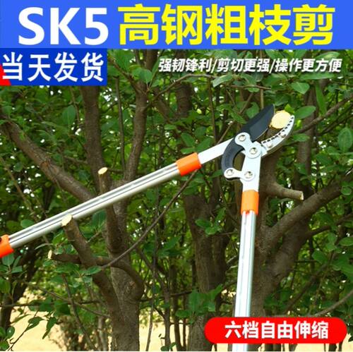 德国进口强力sk5剪刀省力高杆修枝剪大力高枝剪伸缩高空剪果园林