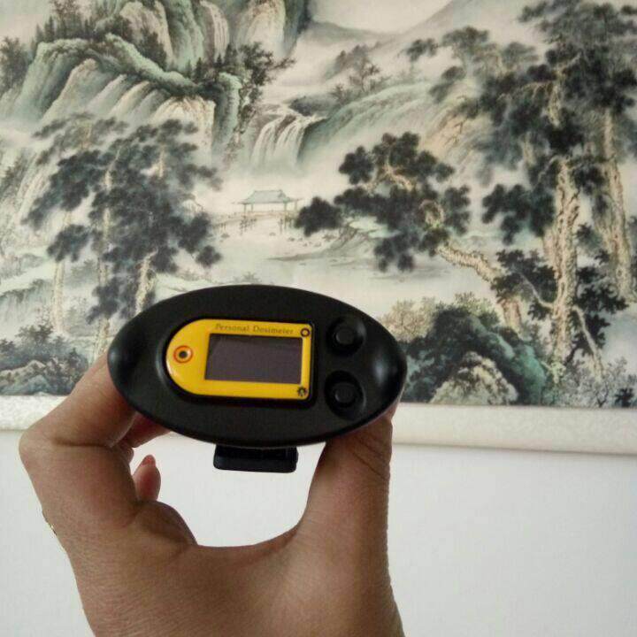 博,LB-P辐射报警D1个人剂路量报警仪 报警数便据自动存储方查询