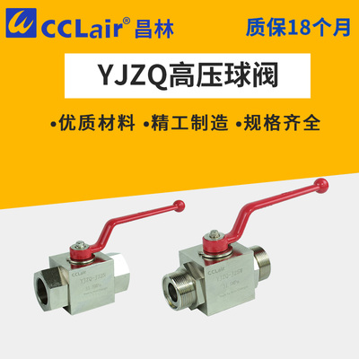 高压球阀YJZQ-J06W08H10N15W20N25W32N40W50B不锈钢G1/4G3/8G11/2