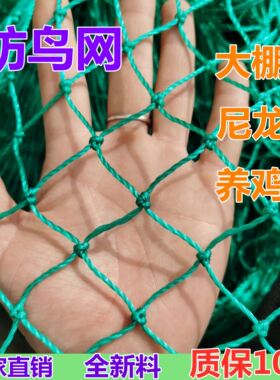 防鸟鱼塘果园围网家禽鱼塘果树尼龙网防鸟网果树养鸡网拦鸡网尼龙