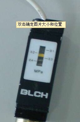 百灵牌压力开关IS1000-01