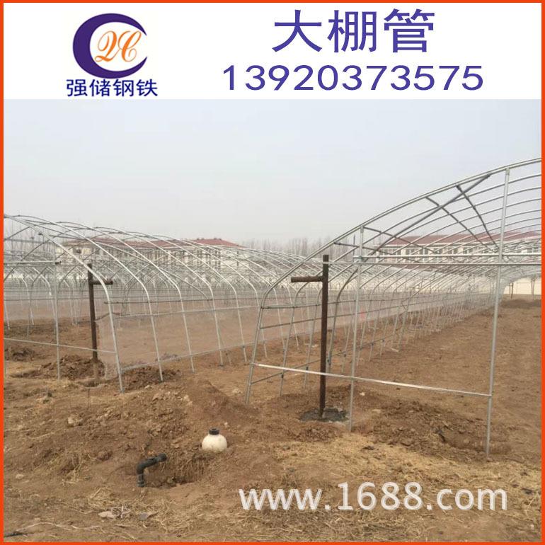 天津现货销售棚镀管蔬菜温室大用管锌钢管加工弯热镀锌钢ODA管折