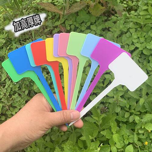 盆栽插牌绿植花卉牌园艺标签防水标识牌加厚Q彩色5代塑料书写牌