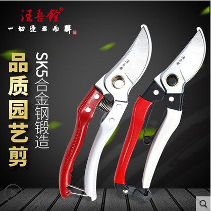 汪吾铨园林园艺剪刀园丁剪花枝修剪树枝剪刀果枝剪修花剪刀修枝剪