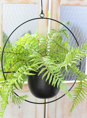 北欧花盆装饰黑色创意北欧悬挂式铁艺架子空中吊挂吊兰盆多肉挂式