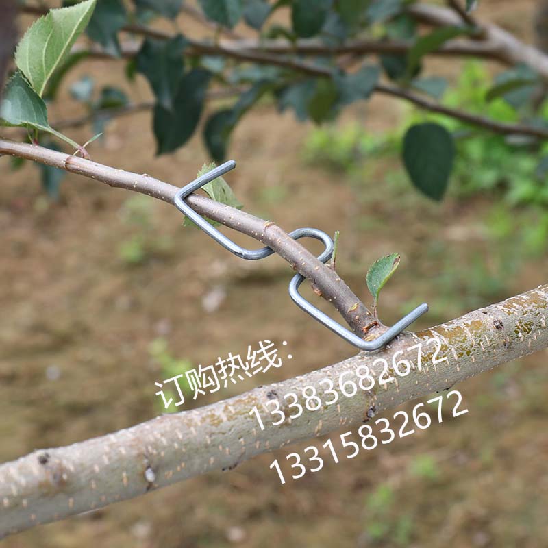 永德助果树拉枝神器定型器通用M型别枝器S扣开角器压枝弯枝夹包邮