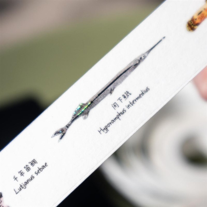 别管胶带 售完不补一屋鱼海洋动物科普手帐和纸胶带大年复古装饰