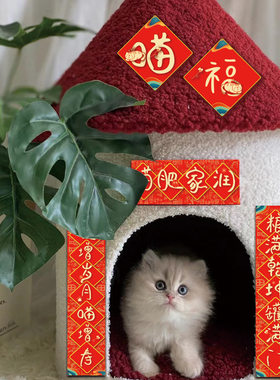 可爱猫咪小对联迷你宠物狗窝个性创意对联贴宠物窝装饰品小对联