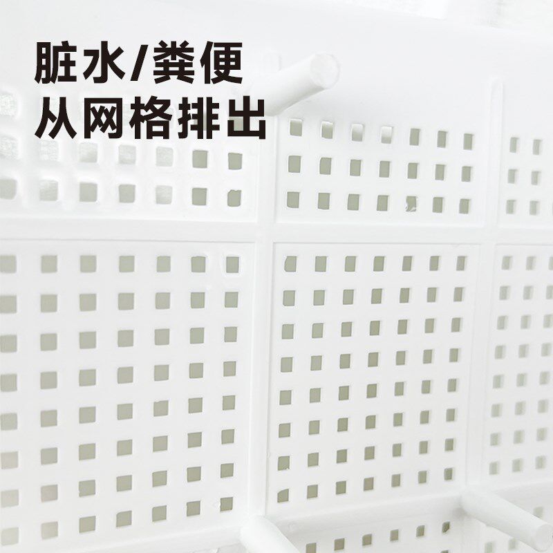 新型乌龟生态缸造景绿植双层龟便分离养龟隔离发色盒饲养育苗盆