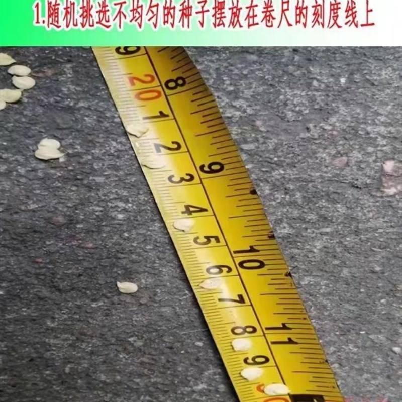 播种神器穴盘播种器点种器漂浮穴盘播种器播种神器圆孔穴盘播种器