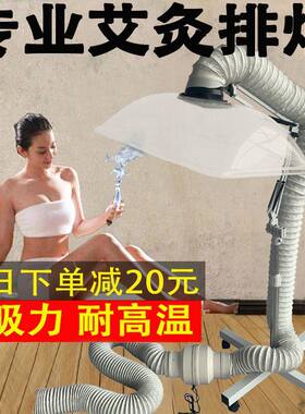 德国进口吸烟机/排烟器/家用移动立式小型排烟机室内罩艾条无烟风