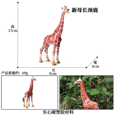 跨境仿真实心静态野生动物鹿模型