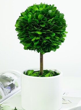 【买一送一】北欧风桌面植物摆件车内饰品客厅玄关V电视柜轻奢装