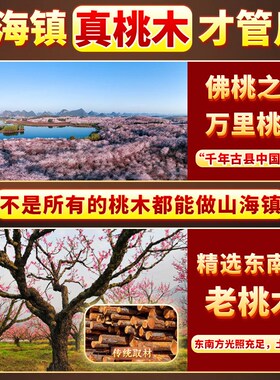 桃木山海镇八卦木雕雕刻挂件真y桃木家居房屋室外室内装饰品摆件