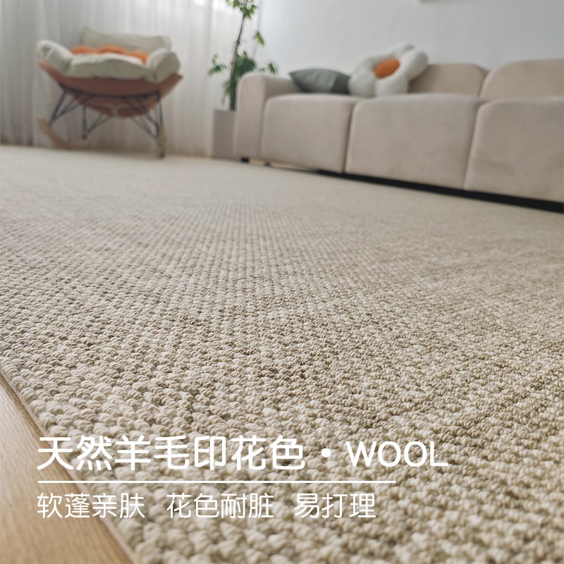 耐脏简约轻奢侘寂风客厅床边新西兰A进口羊毛地毯大宅标配2024新