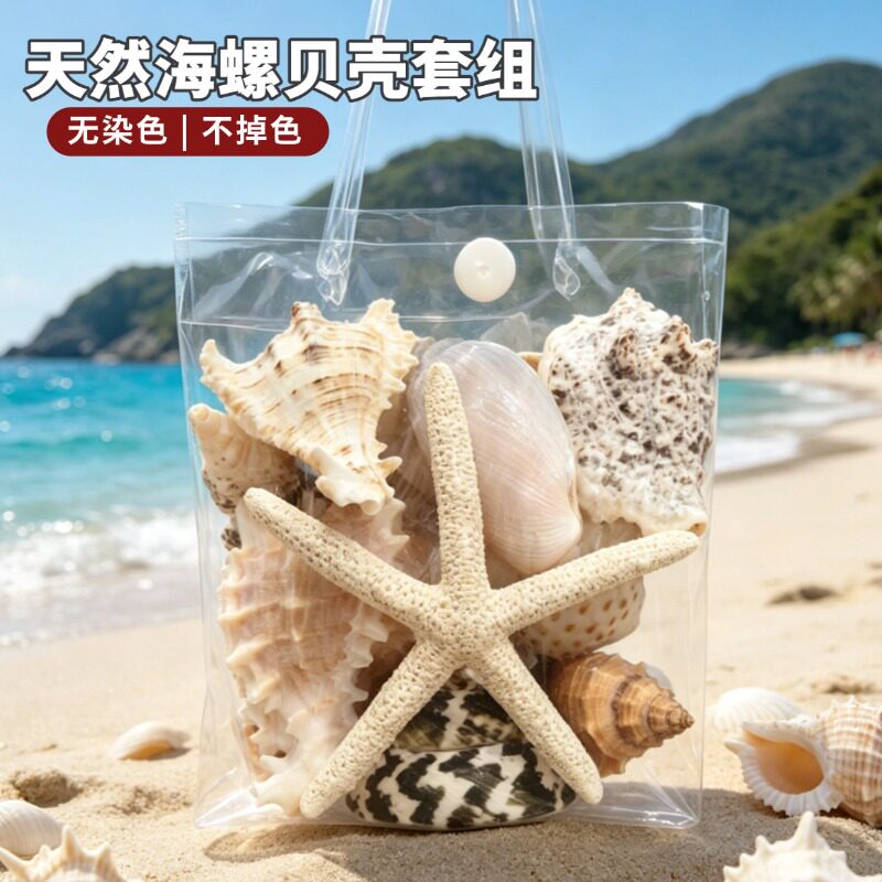 天然特大海螺贝壳套组装饰品海星珊瑚鱼缸水族造景收藏摆儿童玩具