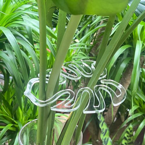 植物花架绿植龟背竹支撑杆防倒伏春雨支架金钱树固定器花卉支撑架