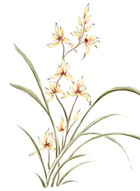 水移画美式乡村手绘花家具贴画柜子贴纸浴室卫生间墙贴客厅装饰画