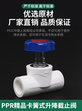 浙江如龙 PPR升降式截止阀4分20ppr阀门1寸6分25 ppr水管阀门 110