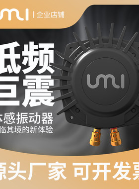 体感音乐模拟赛车游戏机低频振动器3D动感影院聋哑人律动室震动