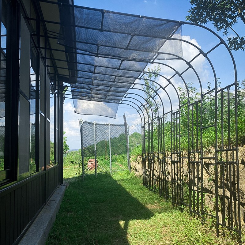 半边拱门花架园艺爬藤架庭院阳台花园拱形门葡萄架子支撑杆攀爬架