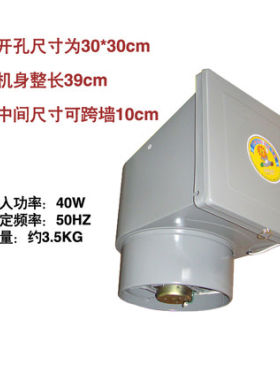 狮强牌厨房排气扇强力换气扇10寸洁王油烟风机窗式静音家用S602A