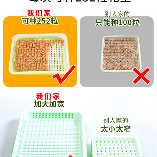 种花生芽育苗盆无土栽培豌豆芽苗蔬菜水培盘黑盖专用盘发豆苗神器
