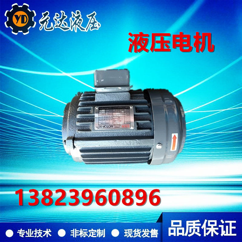 液压电机 内轴电动机1HP 0.75KW 1.5KW 2.2KW 3.7KW 3KW VP20马达