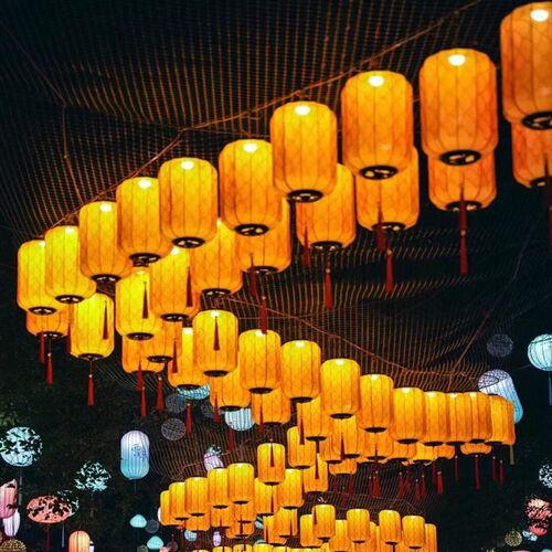 灯笼龙头龙尾蛇年新年非遗元宵景区D厂家定制大型节日春节花灯夜