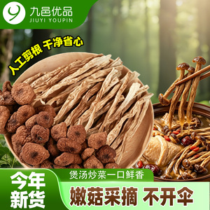 九邑优品今年新货茶树菇干货农家食用菌新鲜采摘蘑菇【煲汤炖汤】