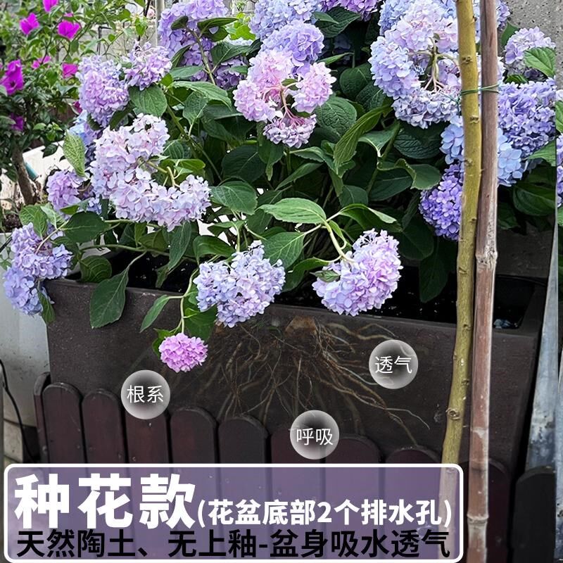 紫砂粗陶特大鱼缸 长方形无釉马槽花盆 睡莲专用陶盆花器手工中国