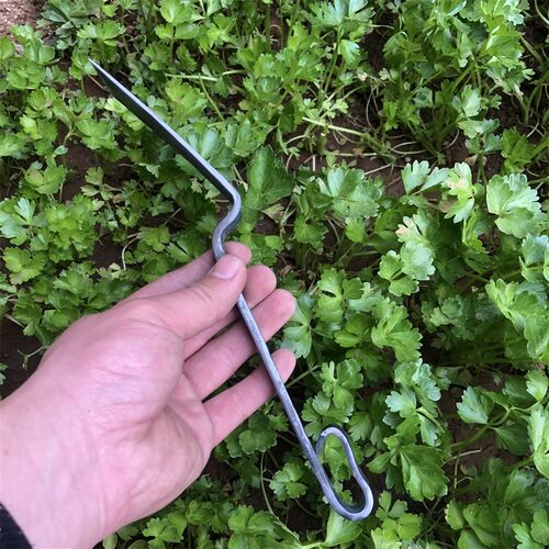 王氏作坊菜铲菜园花园种菜除草种花移苗挖野菜小铲子铁匠手工锻打