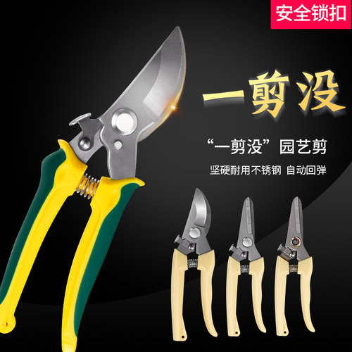 剪刀修枝剪花艺园艺强力粗枝果树园林工具摘果葡萄疏果专用神器