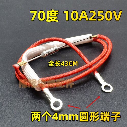 通用电饭煲压力锅挂烫机热风枪保险管温度保险丝温控电阻10A250V