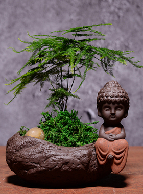 文竹创意陶瓷禅意小佛花盆土培容器桌面摆件绿植盆栽多肉植物盆栽