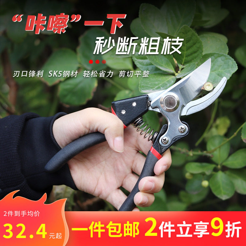 花艺剪刀鲜花去刺月季花剪家用修枝剪果树枝手动园艺工具修花枝剪图片