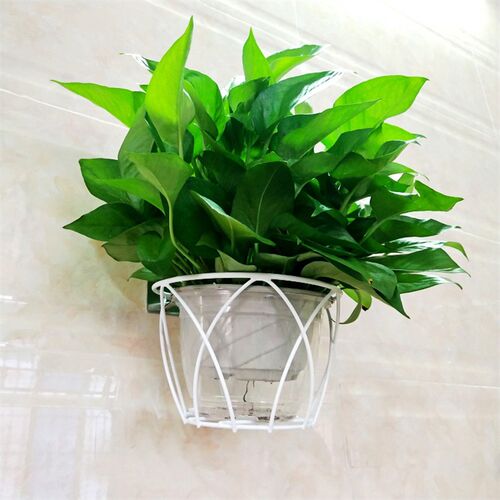 钉墙花架简约铁艺壁挂免打孔墙上花盆挂架阳台绿萝盆栽挂篮