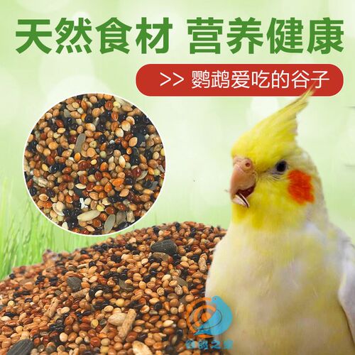 威罗森中小型鹦鹉粮虎皮牡丹玄凤鹦鹉专用粮饲料鸟粮混合粮颗粒粮