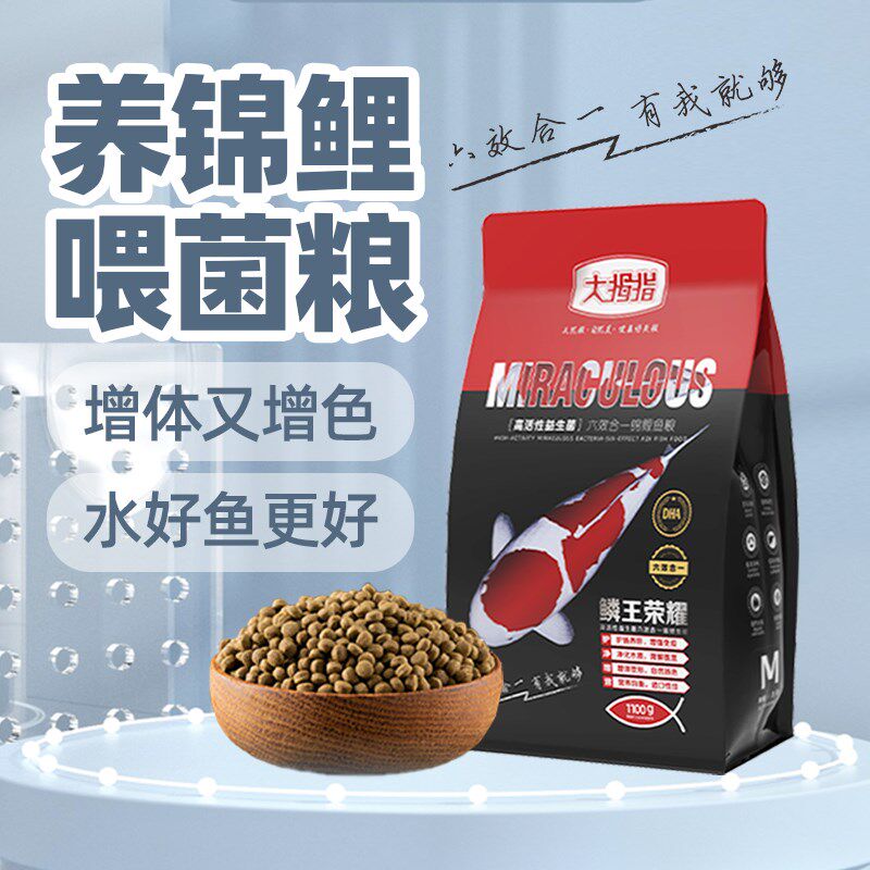 大拇指鳞王荣耀锦鲤鱼饲料高蛋白扬色增色不浑水鱼食上浮颗粒鱼粮