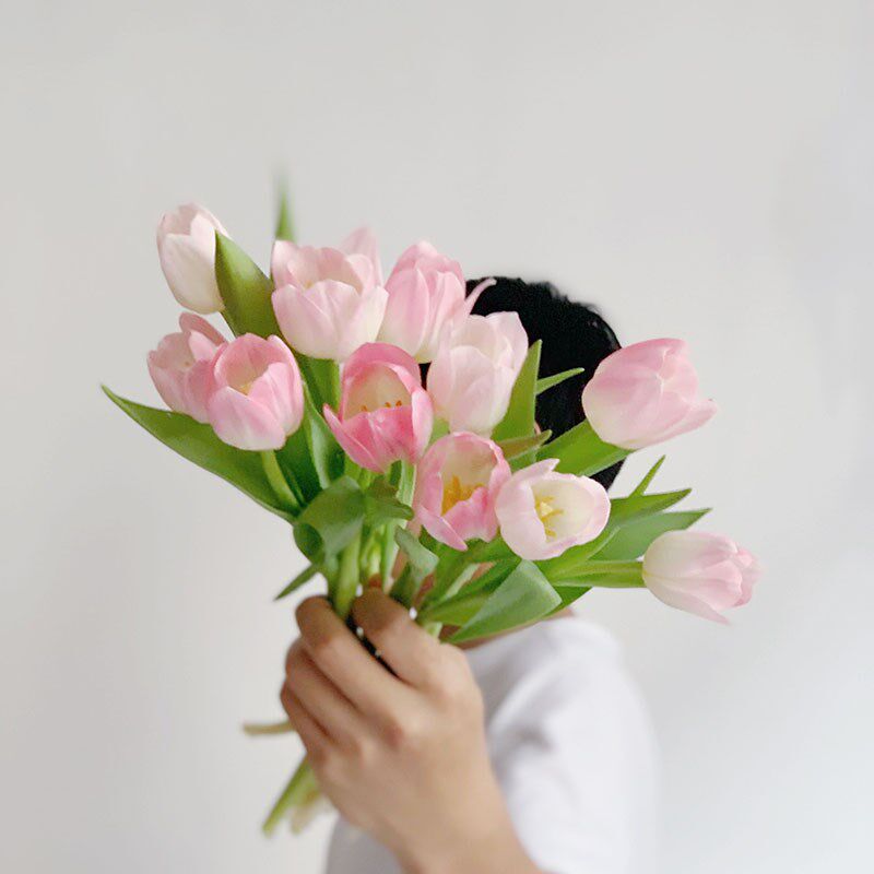 粉嫩温柔发光粉色郁金香鲜花云南直发家居办公插花水养云南直发