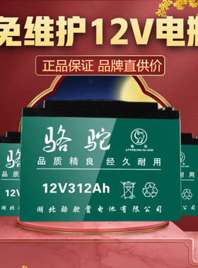 电瓶蓄电池12v伏干锂电池60安大容量逆变器铅酸太阳能石墨烯电瓶