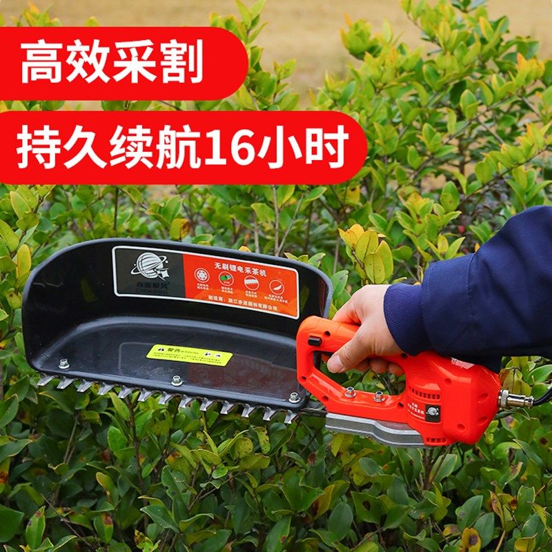 锂电无刷绿篱修剪机背负式茶叶采摘机器绿化茶树修枝机电动采茶机