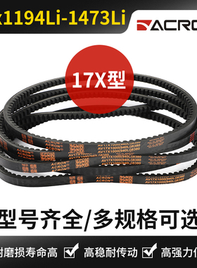安格鲁三角带齿形皮带 17x1194Li 1219 1245 1270 1422 1448 1473